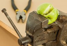 how to Optimize Your Images for web without losing quality Optimize Your Images