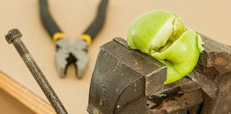 how to Optimize Your Images for web without losing quality Optimize Your Images